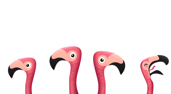 Flamingos Blinking