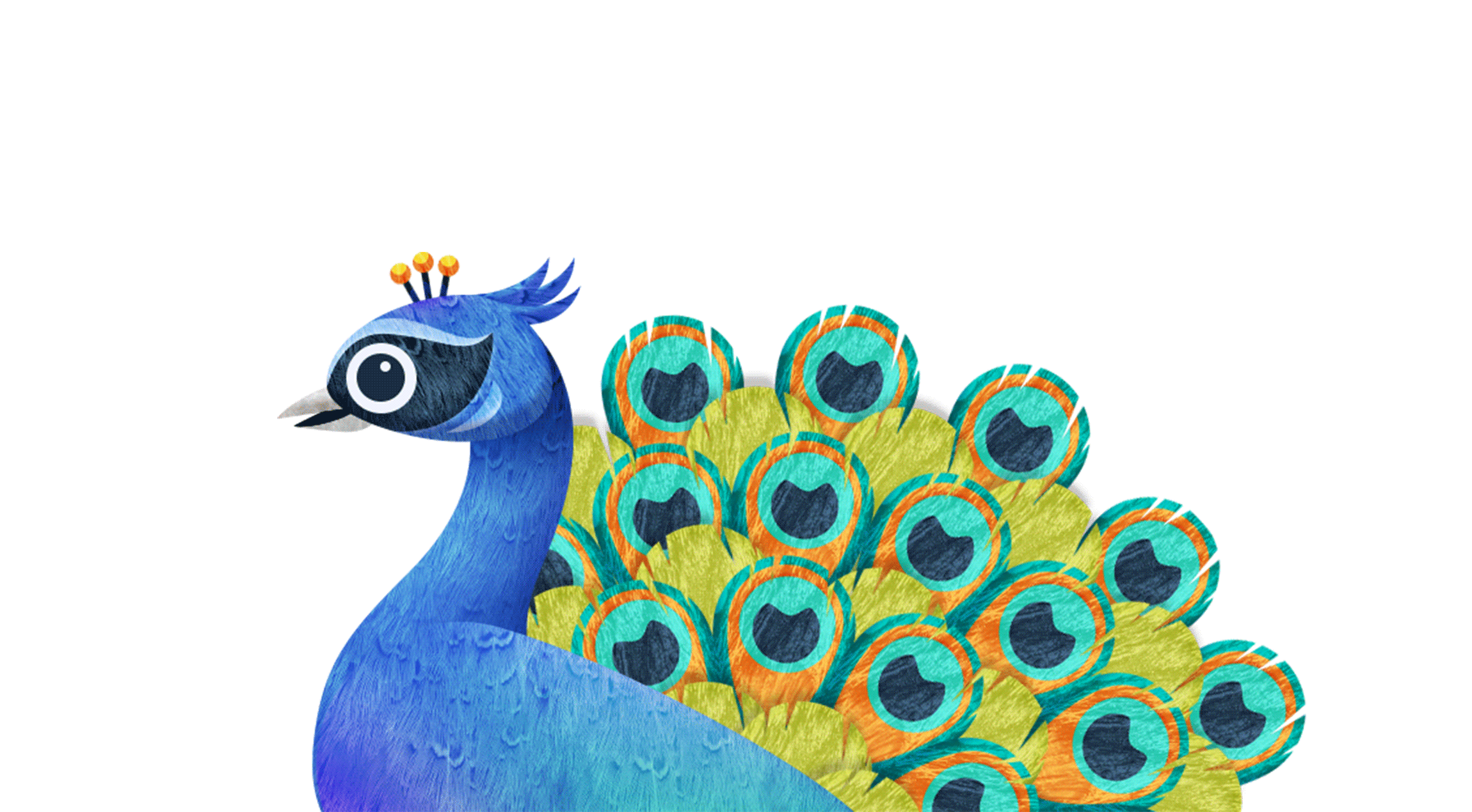 Peacock