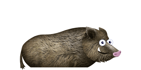 Boar Small